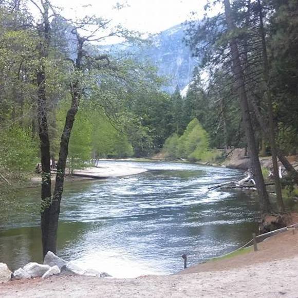 Meet your Posher, Victoria - Picture 1 of 1